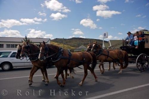 Photo: 
Horse Wagon Procession New Zealand Fundraiser