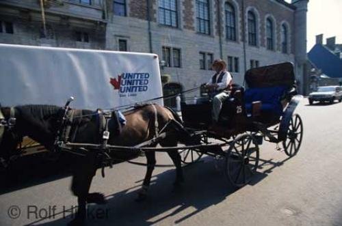 Photo: 
horse buggy