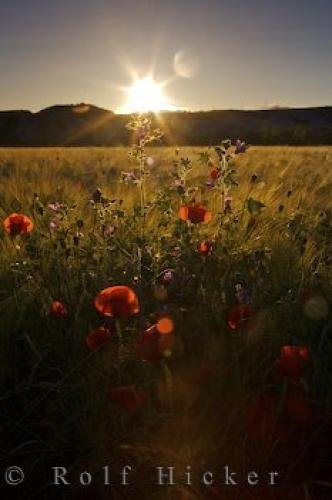 Photo: 
Huesca Spain Sunset