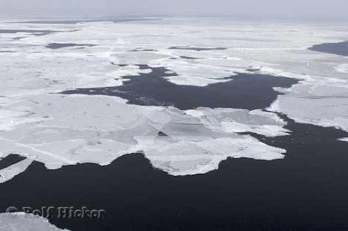 Photo: 
Ice Formations Ice Floes