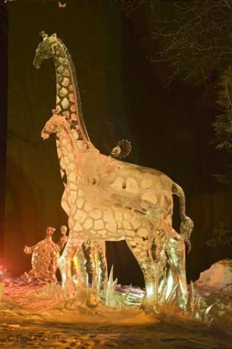 Photo: 
animal ice carving