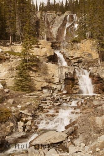 Photo: 
icefields parkway