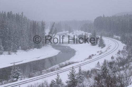 Photo: 
Snowy Winter Scenery Banff National Park