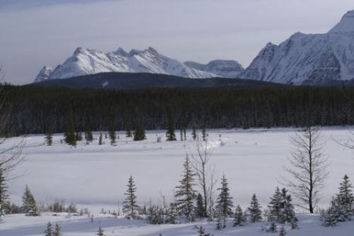 Photo: 
winter jasper