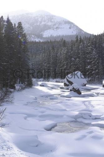 Photo: 
Rocky Mountain River snow scenes