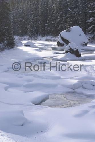 Photo: 
Snow Scenery Rocky Mountains