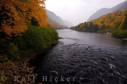 Photo: 
Jacques Cartier River Autumn Forest Quebec