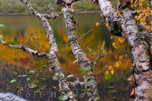 Photo: 
Jacques Cartier River Autumn Reflections Quebec