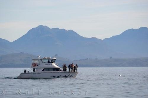 Photo: 
Boat Tour Kaikoura Travel Canterbury New Zealand