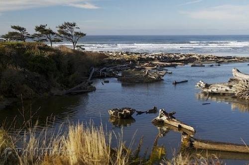 Photo: 
Kalaloch River