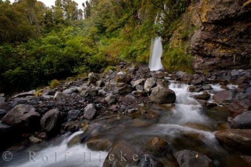 Photo: 
Kapuni Loop Track Dawson Falls Taranaki New Zealand