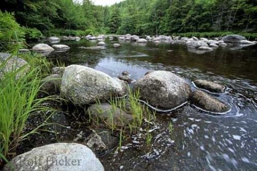 Photo: 
Kejimkujik National Park Nova Scotia