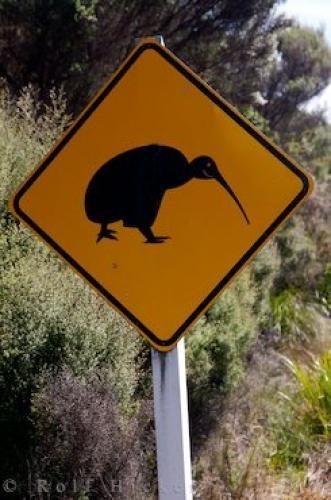 Photo: 
Kiwi Road Sign West Coast
