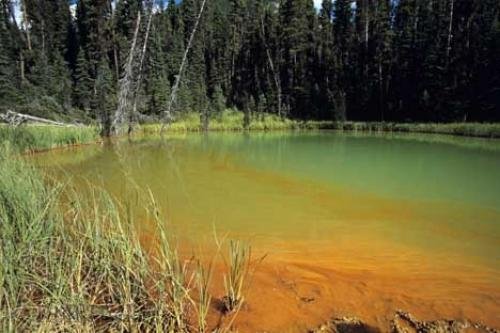 Photo: 
Kootenay