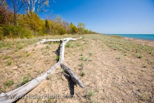 Photo: 
Lake Erie Dunes Leamington Ontario National Park