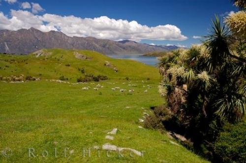 Photo: 
Lakeside Farmland Lake Hawea Central Otago