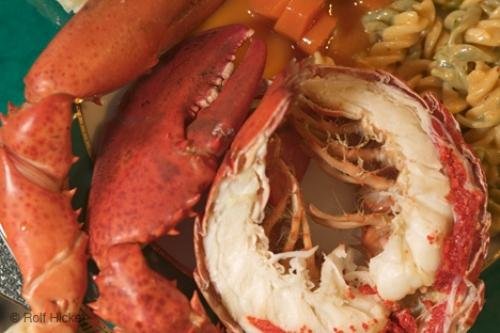 Photo: 
Lobster Dinner