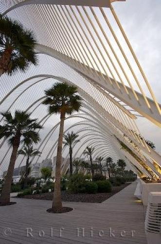 Photo: 
LUmbracle Palms Valencia Spain