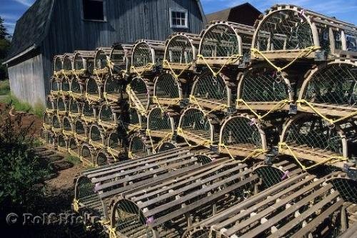 Photo: 
Malpeque Lobster Traps