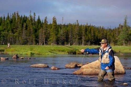 Photo of a man fly fishing in the Salmon River near the town of Main Brook on the Northern Peninsula of Newfoundland, Canada. Photo: 
Man Fly Fishing Salmon River Newfoundland