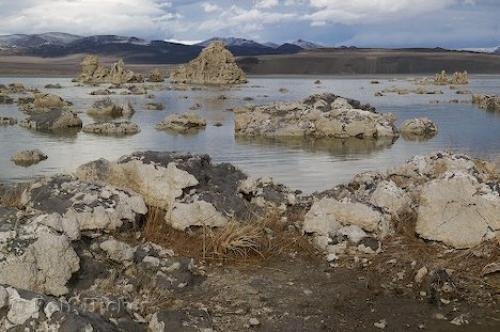 Photo: 
Mono Lake Formations California