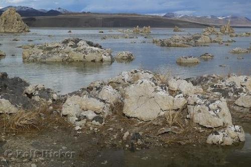 Photo: 
mono lake tufa state reserve