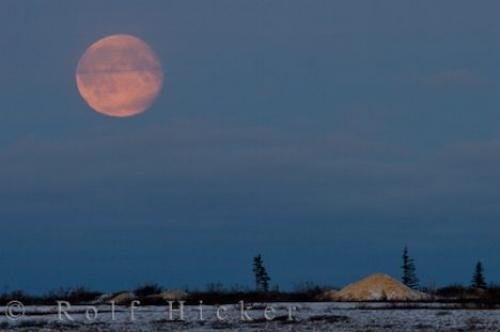 Photo: 
Full Moon Landscape Churchill Manitoba Canada