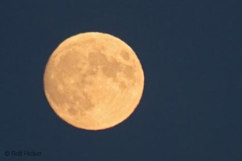 Photo: 
Moon Signs
