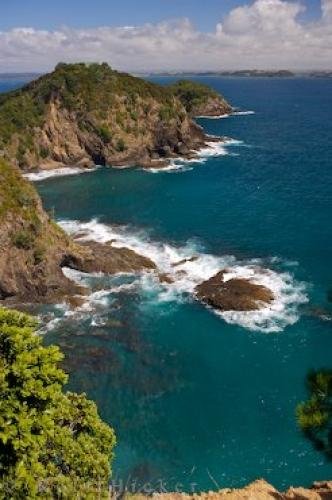 Photo: 
Motuarohia Island Track New Zealand