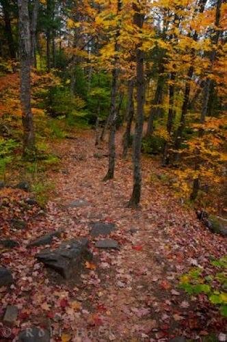 Photo: 
Nature Trail Oxtongue River Ragged Falls
