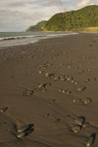 Photo: 
New Zealand Beach Holiday