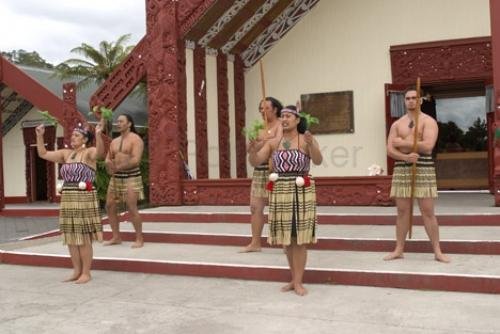 Photo: 
New Zealand Maori People Cultural Dance