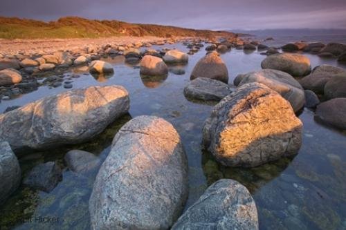 Photo: 
Newfoundland Coast