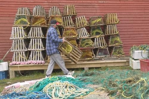 Photo: 
Newfoundland Lobster Traps