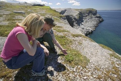 Photo: 
Burnt Cape Ecological Reserve Ranger Tourist