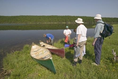 Photo: 
newfoundland F76T0908