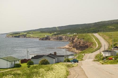 Photo: 
newfoundland F76T3789