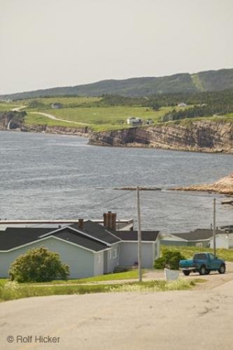 Photo: 
newfoundland F76T3794