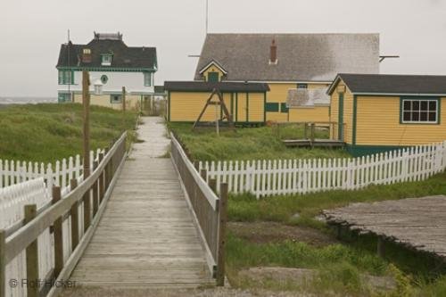 Photo: 
Newfoundland F76T7515
