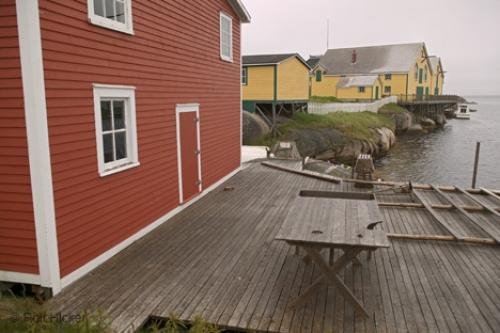 Photo: 
Newfoundland F76T7547