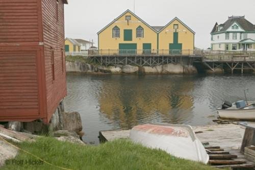 Photo: 
newfoundland F76T7600