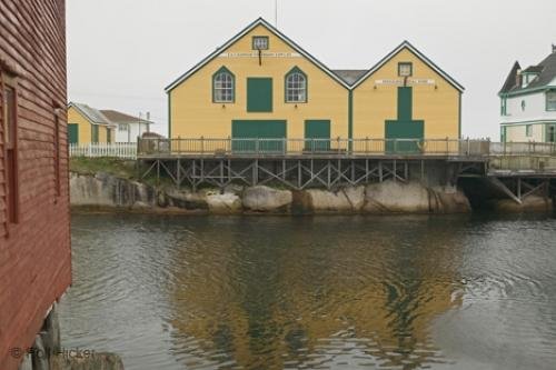 Photo: 
Newfoundland F76T7603