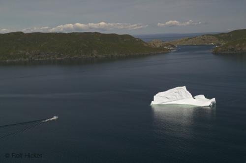 Photo: 
newfoundland F76T7863