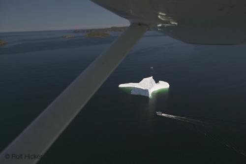 Photo: 
newfoundland F76T7869