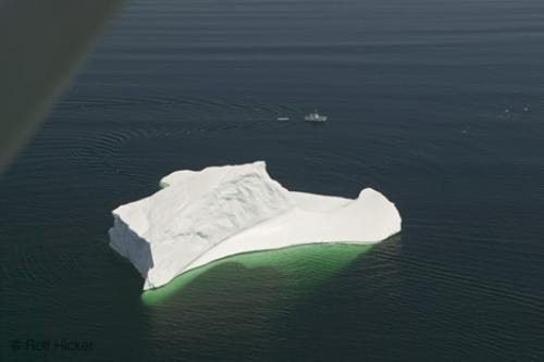 Photo: 
newfoundland F76T7884