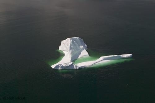 Photo: 
newfoundland F76T7968