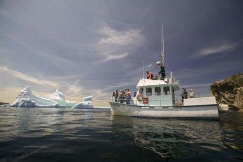 Photo: 
iceberg tours