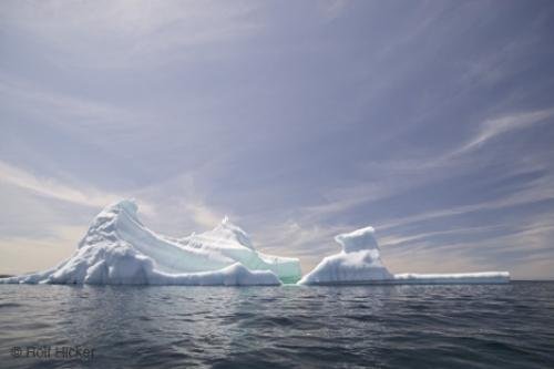 Photo: 
newfoundland F76T8174