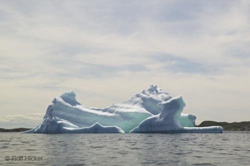 Photo: 
newfoundland F76T8208