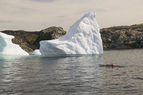 Photo: 
Kayak Adventures Icebergs Newfoundland